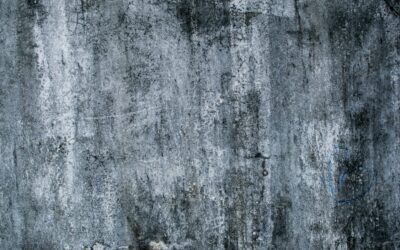 Colloidal Silica in the Cement Industry