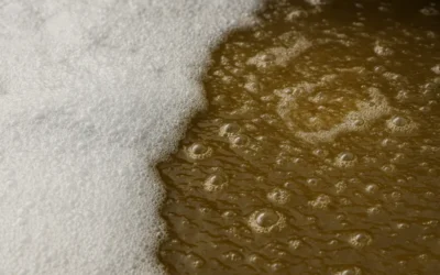 The Impact of Foam on Aeration Efficiency and Oxygen Transfer